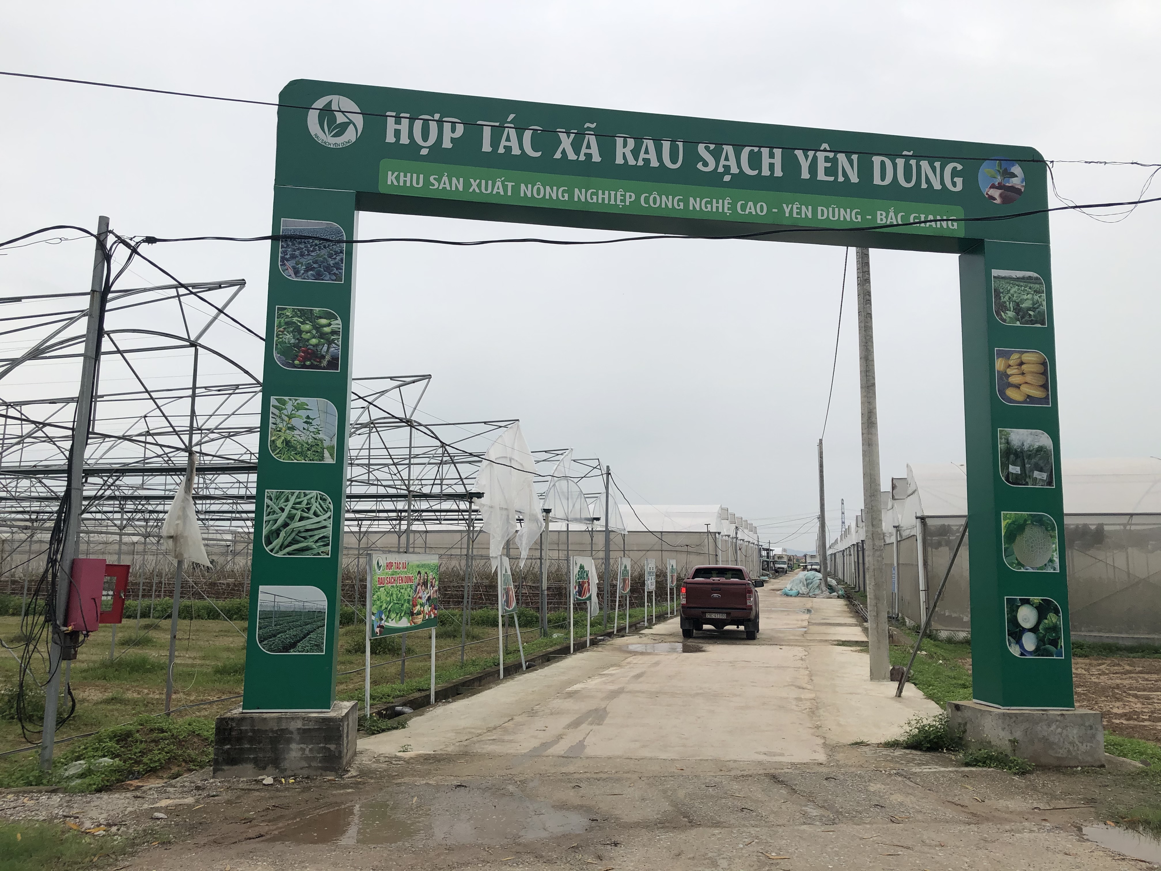 mo hinh rau sach htx tien dung mo hinh rau sach htx tien dung