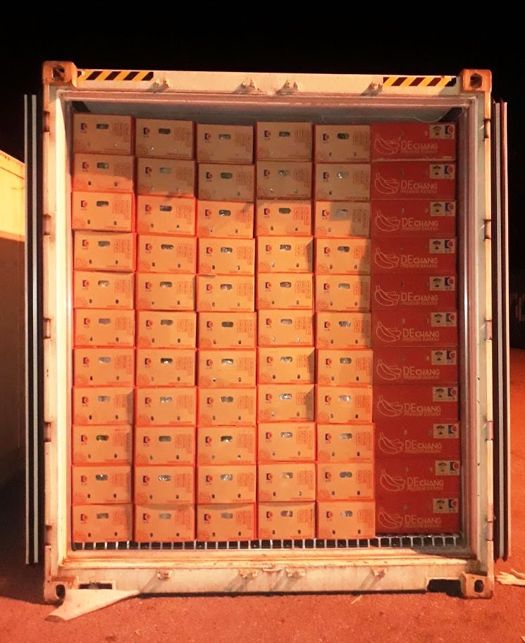 5 trai cay duoc dua vao container lanh van chuyen tu nong truong ve cang chu lai 5 trai cay duoc dua vao container lanh van chuyen tu nong truong ve cang chu lai
