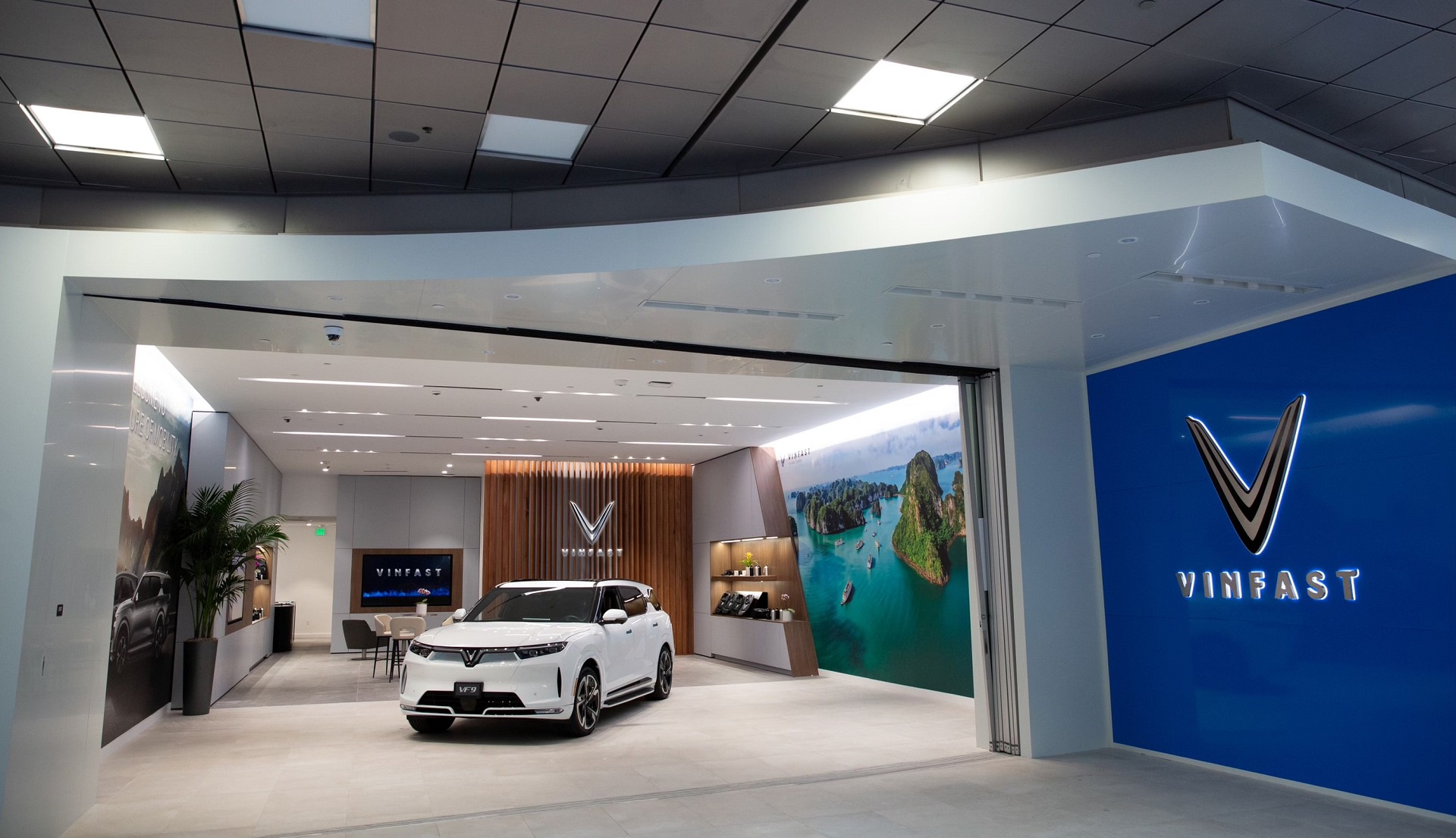 store opening 6