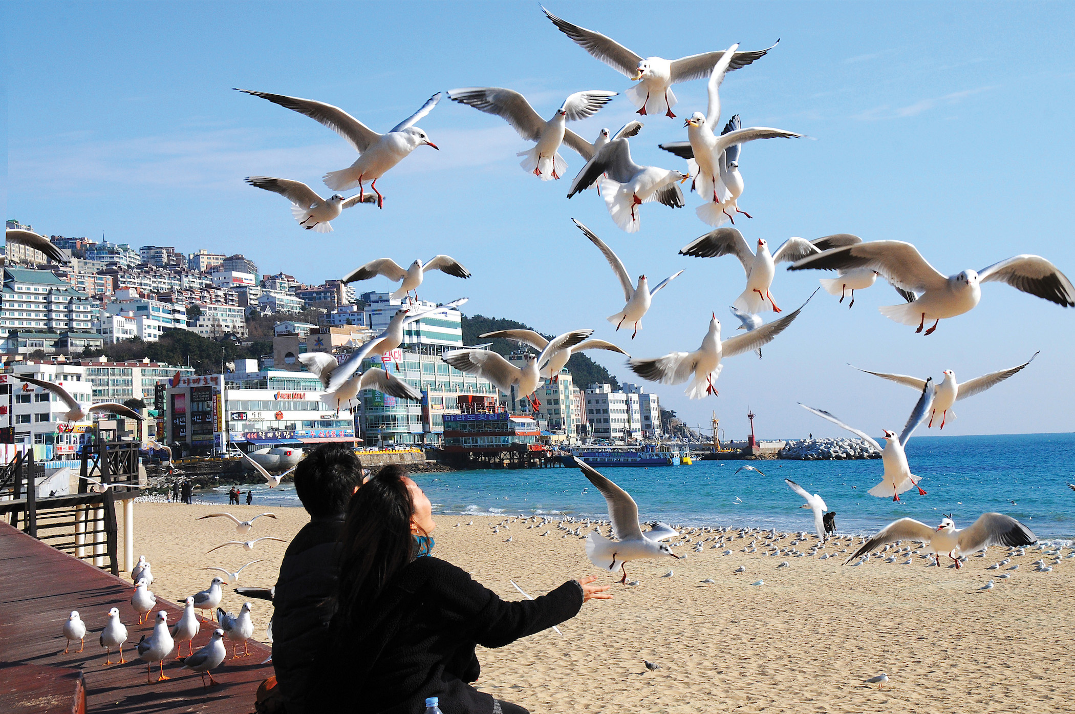 haeundae beach haeundae beach