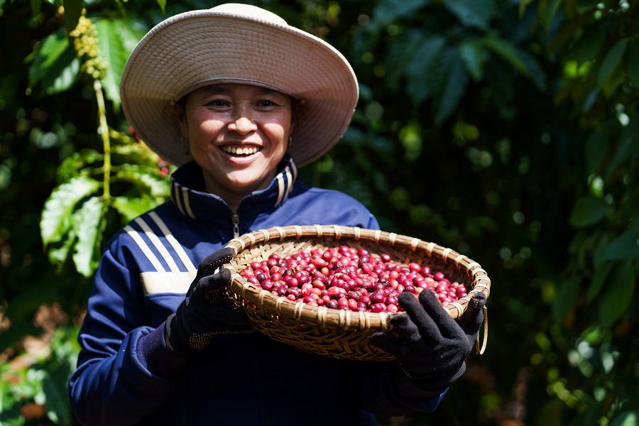 nguoi nong dan trong ca phe tham gia vao chuong trinh nescafe planhinh 3