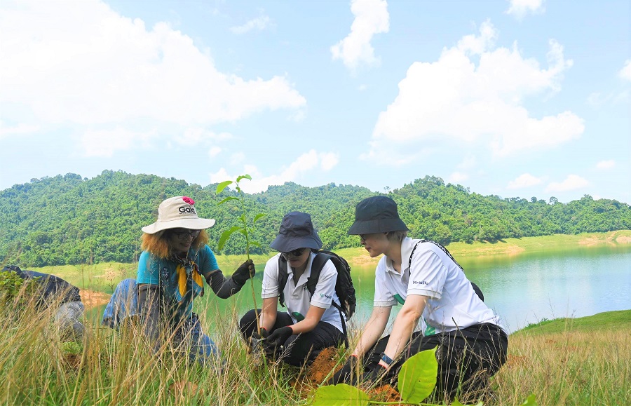 gaiamanulifetrong rung xuan liendung phan220923