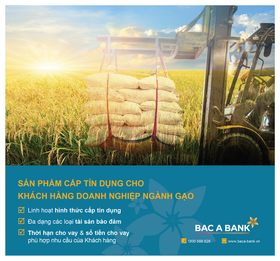 fb sp cap tin dung khdn nganh gao 1 fb sp cap tin dung khdn nganh gao 1