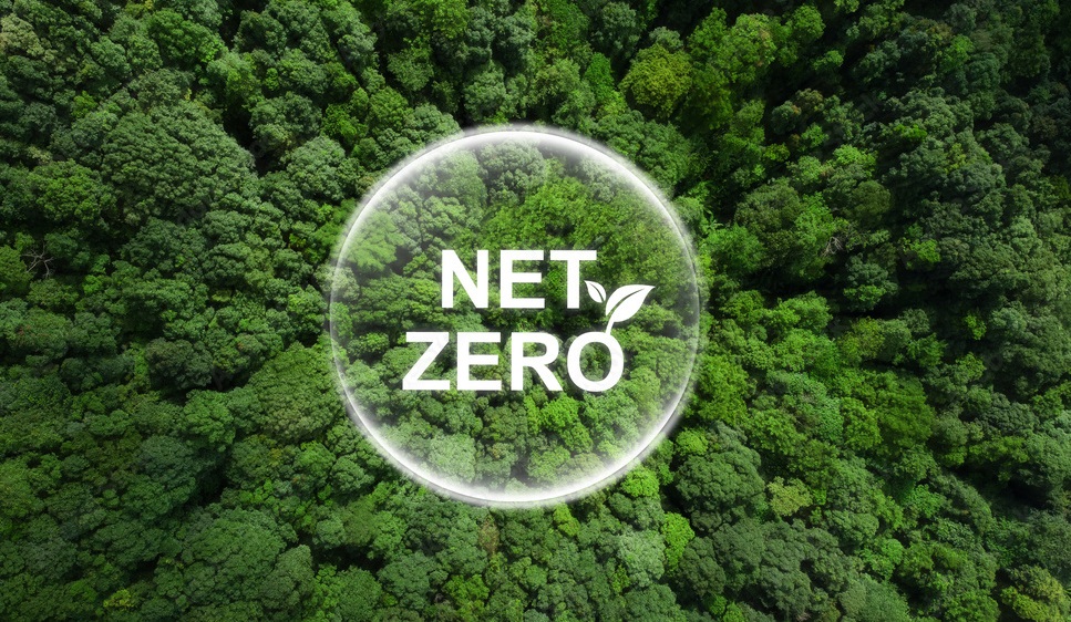 viet nam hien thuc hoa muc tieu net zero thong qua phat trien kinh te rung