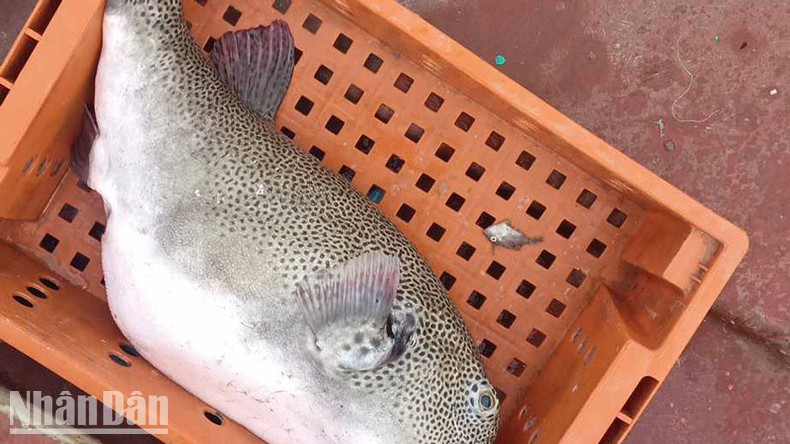 an trung ca noc 1 nguoi chet 2 nguoi nhap vien dspl2 an trung ca noc 1 nguoi chet 2 nguoi nhap vien dspl2