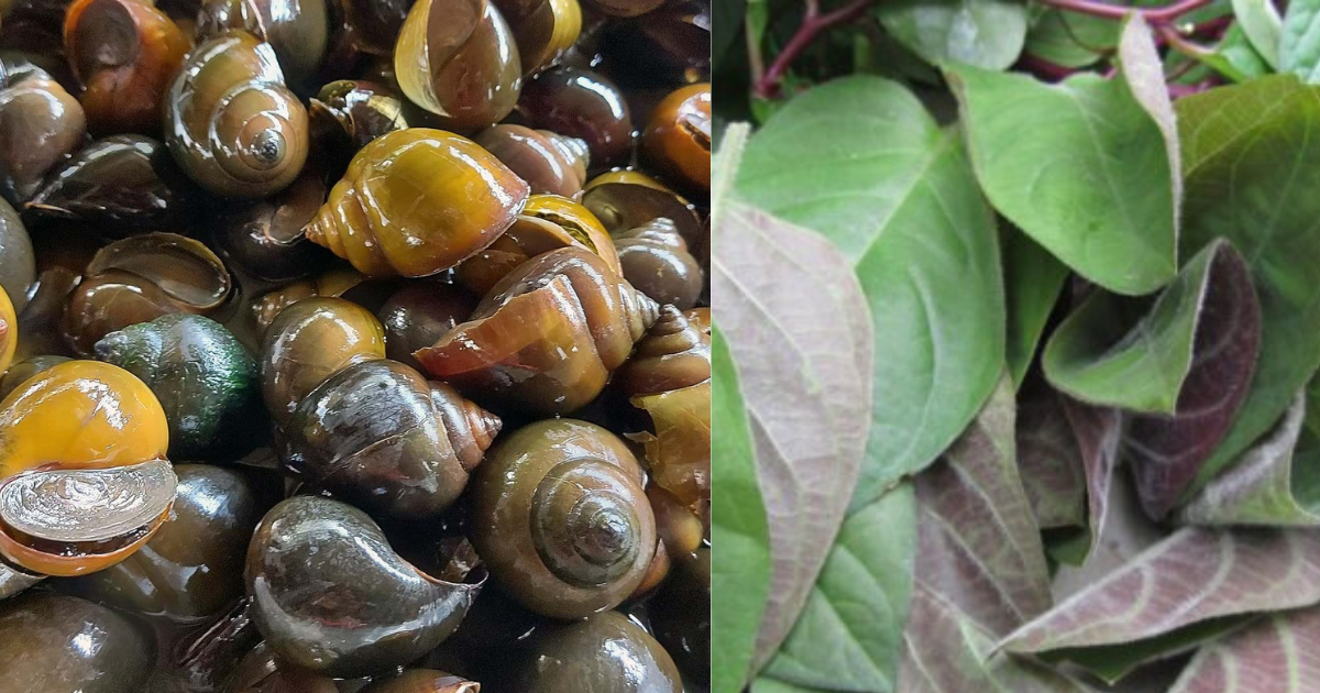khac tinh cua thit lon goi ten nhung loai thuc pham sau cho dai nau cung nhau1 khac tinh cua thit lon goi ten nhung loai thuc pham sau cho dai nau cung nhau1