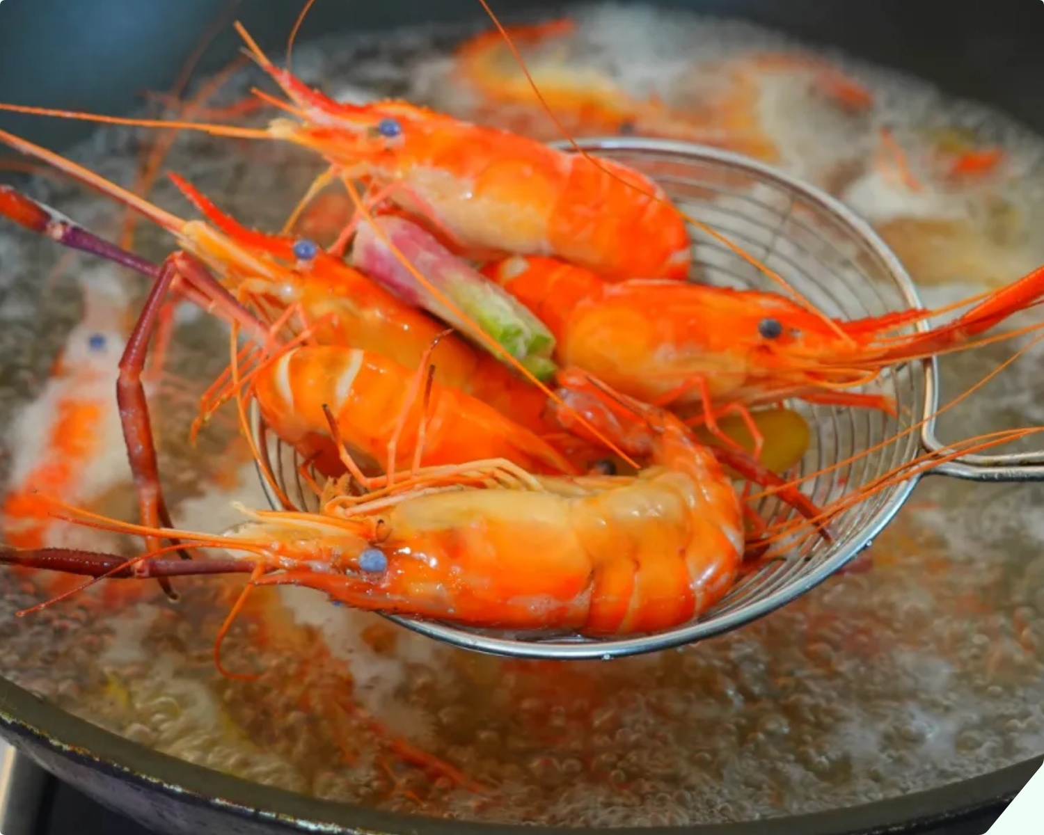 luoc tom bang nuoc lanh hay nuoc nong hoa ra truoc gio deu sai cach dspl2