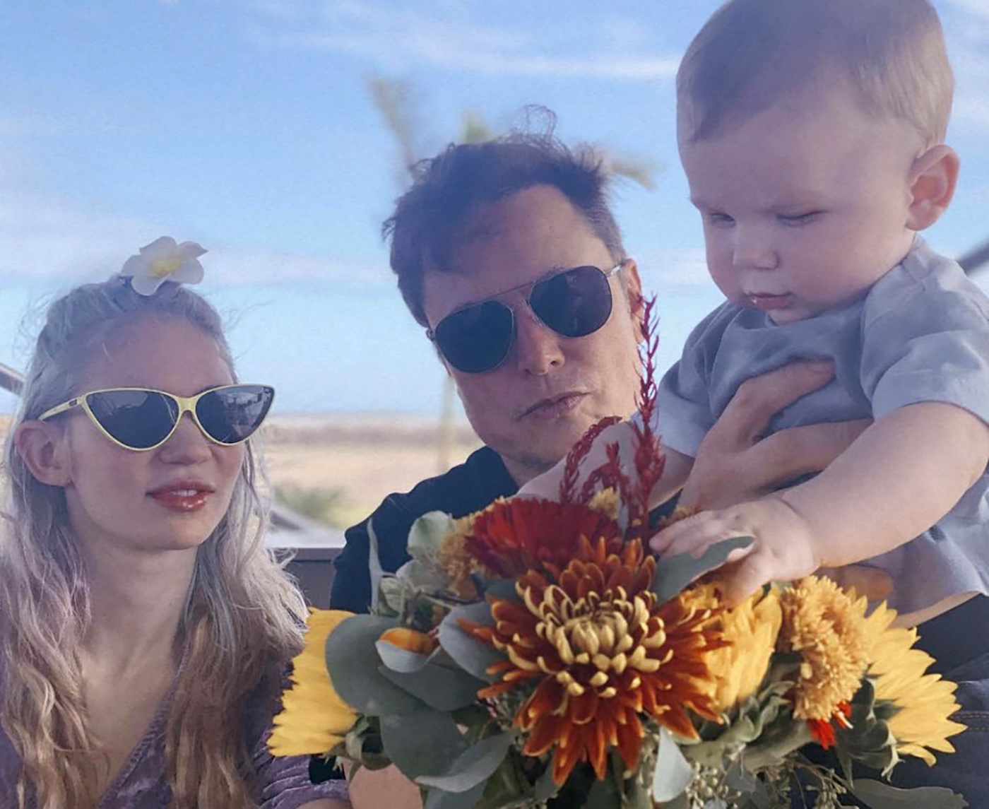 elon musk va grimes elon musk va grimes
