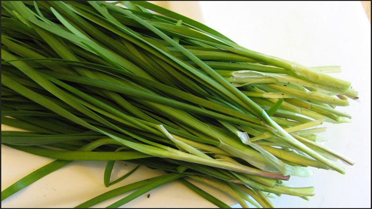 5 nhom nguoi nen noi khong voi rau he du co tot den may dspl1 5 nhom nguoi nen noi khong voi rau he du co tot den may dspl1