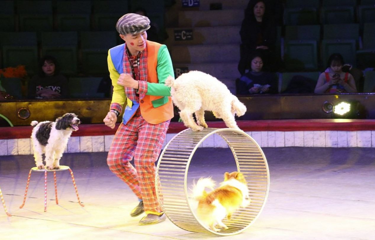 dia diem vui choi trung thu ha noi 81661787074 dia diem vui choi trung thu ha noi 81661787074