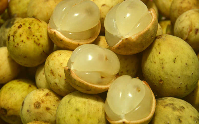 nhung luu y khi an qua bon bon tranh 2 bo phan chua doc to keo ruoc hoa vao than 4 nhung luu y khi an qua bon bon tranh 2 bo phan chua doc to keo ruoc hoa vao than 4