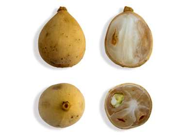 nhung luu y khi an qua bon bon tranh 2 bo phan chua doc to keo ruoc hoa vao than 3 nhung luu y khi an qua bon bon tranh 2 bo phan chua doc to keo ruoc hoa vao than 3