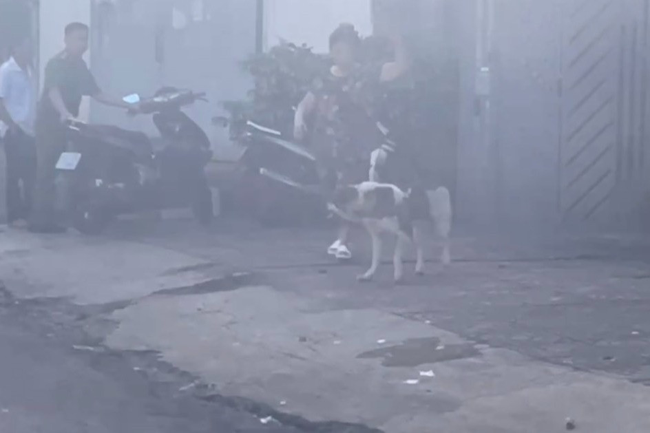 nguoi phu nu nhat ve chai bi keo le vi cho tha rong tan cong nguoi phu nu nhat ve chai bi keo le vi cho tha rong tan cong