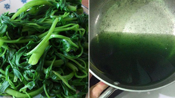 nuoc luoc rau bong doi mau xanh dam lieu co phai ton du cua thuoc sau dspl nuoc luoc rau bong doi mau xanh dam lieu co phai ton du cua thuoc sau dspl