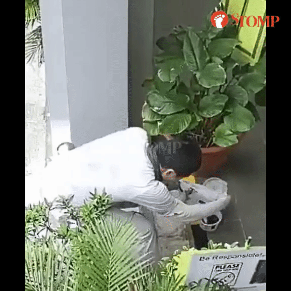 dat do an online nhung lien tuc bi do co gai kiem tra camera phat hien hanh vi phan no cua tai xe dspl1 dat do an online nhung lien tuc bi do co gai kiem tra camera phat hien hanh vi phan no cua tai xe dspl1
