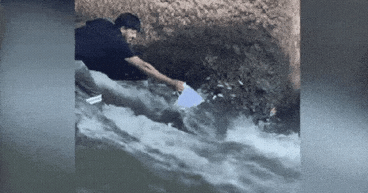 doc dao bat ca theo kieu khong giong ai chang ton ti suc luc ma ca van tanh tach nhay vao1 doc dao bat ca theo kieu khong giong ai chang ton ti suc luc ma ca van tanh tach nhay vao1