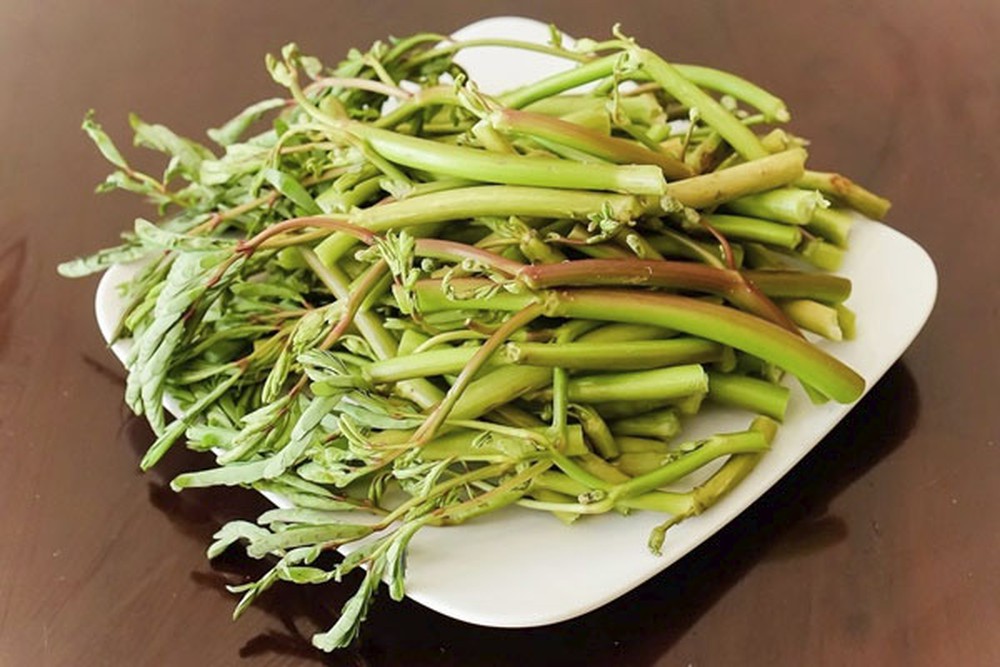Ăn - Chơi - Đổi vị cho cả nhà ngày cuối tuần với món canh chua rau nhút nấu nghêu (Hình 3).