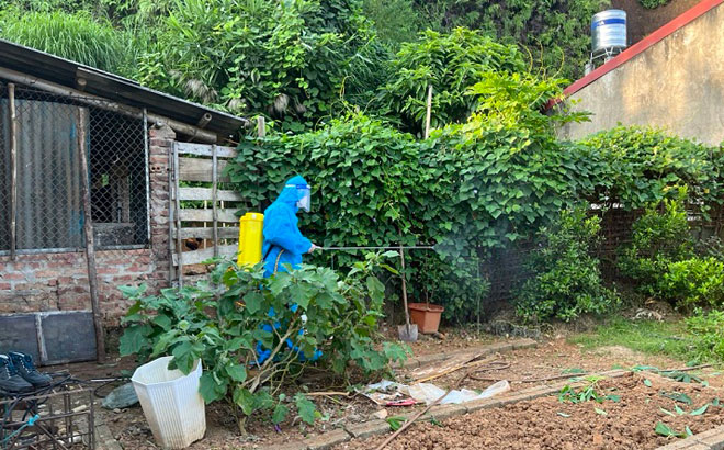 nguoi benh sot xuat huyet tim den toan than nguy kich bac si tuyen trung uong noi gi nguoi benh sot xuat huyet tim den toan than nguy kich bac si tuyen trung uong noi gi