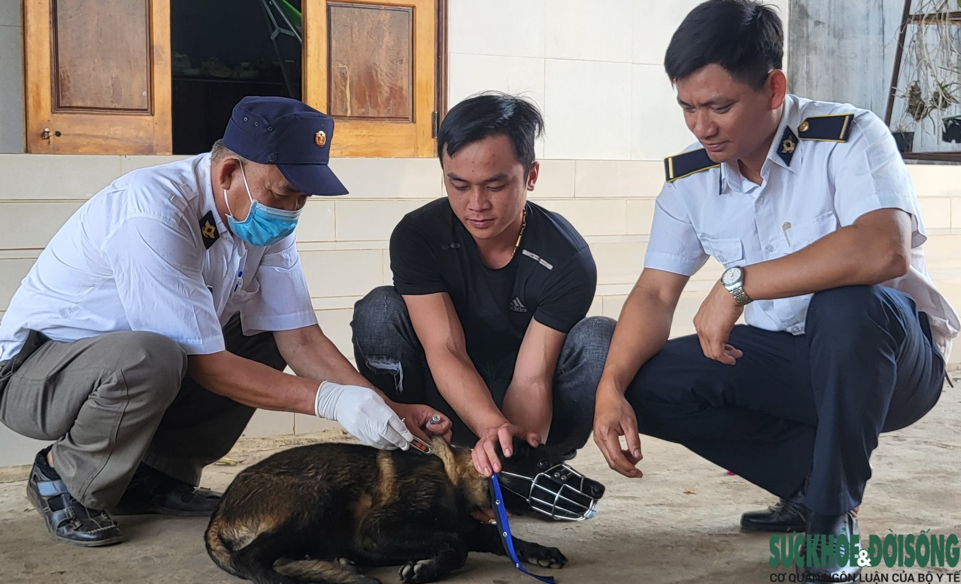 dak lak tu vong nghi do benh dai sau 3 thang bi cho nha can nhung khong tiem vaccine dak lak tu vong nghi do benh dai sau 3 thang bi cho nha can nhung khong tiem vaccine