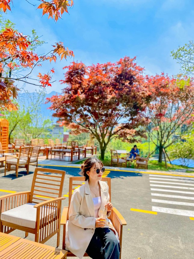 khong phai nhat ban hay han quoc gioi tre phat cuong khi check in cay phong la do o ngay viet nam dspl4