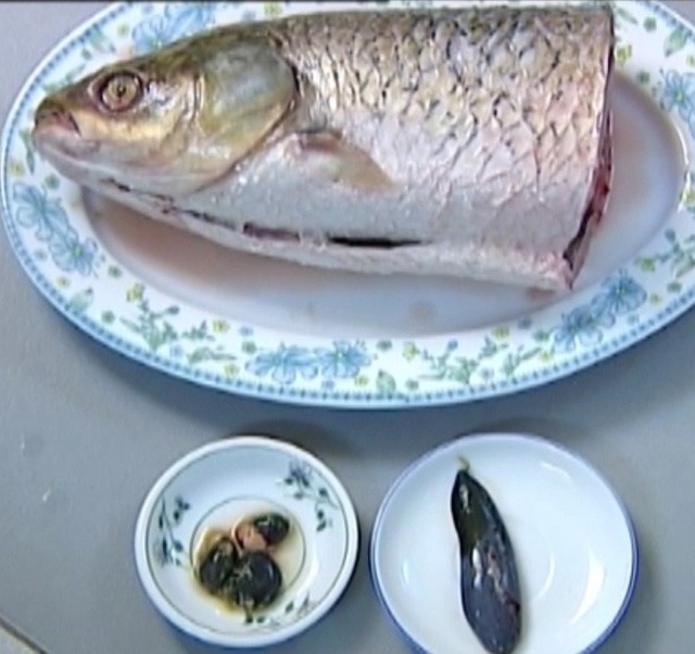 tin loi mat ca tram co kha nang boi bo 2 nguoi ngo doc nang dspl