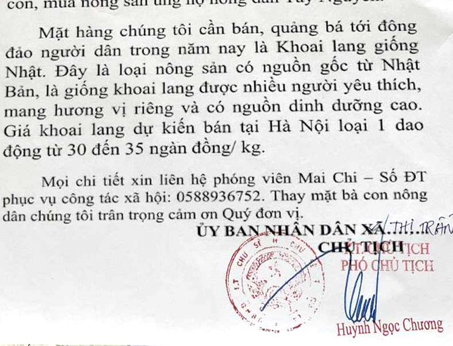 kiem diem pho chu tich thi tran vu ky thu moi giai cuu mua khoai lang dspl