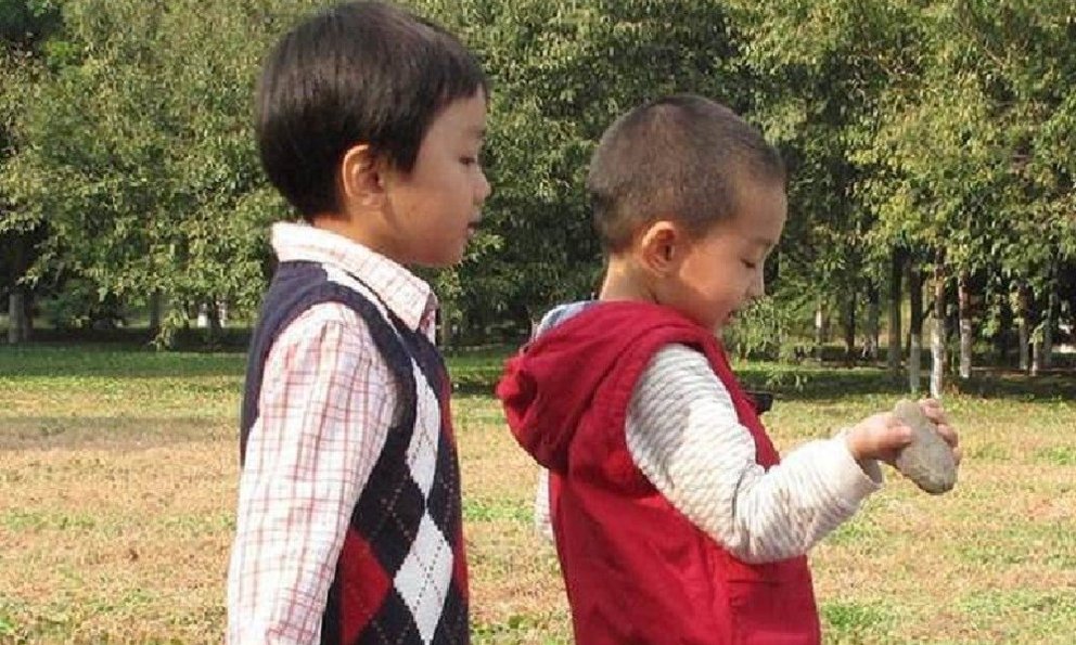 su that dong troi dang sau cau chuyen cap anh em song sinh nhung khong giong nhau