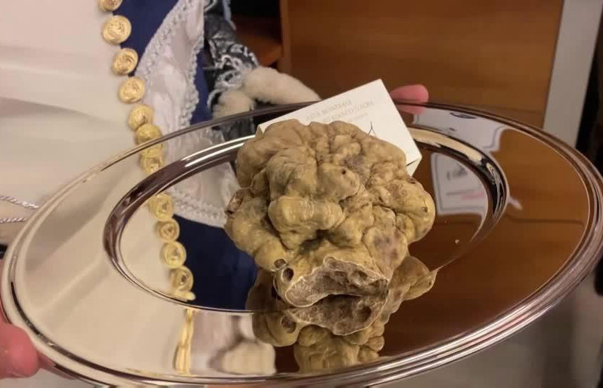 3 loai nam dat do nhat hanh tinh gia hang ty dong duoc vi nhu kim cuong cua nen am thuc dspl3 3 loai nam dat do nhat hanh tinh gia hang ty dong duoc vi nhu kim cuong cua nen am thuc dspl3