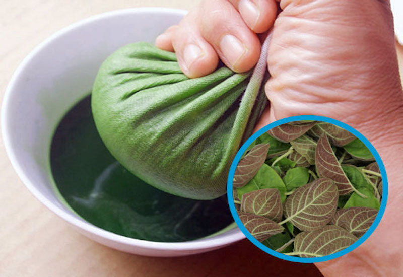 la mo loai la chua bach benh la bai thuoc quy dan gian khong phai ai cung biet dspl3
