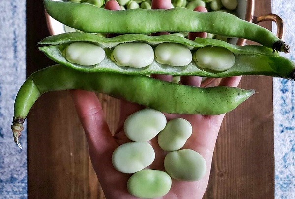 nhung loai qua co vo chua chat doc va gay nguy hiem suc khoe tuyet doi khong an ca vo keo hoi han dspl