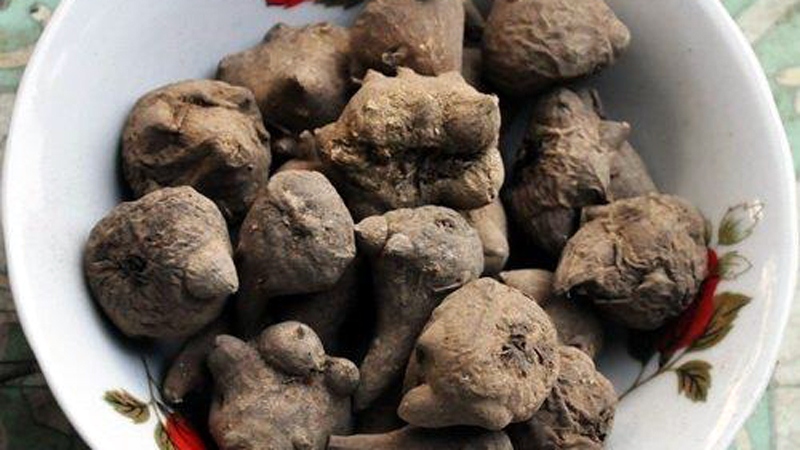 an lau ninh cung cu au tau 11 nguoi ngo doc nhap vien cap cuu an lau ninh cung cu au tau 11 nguoi ngo doc nhap vien cap cuu