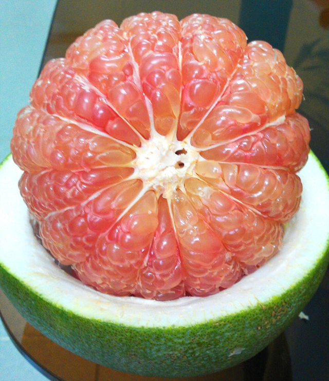 buoi ngon ngot nhieu vitamin nhung dai ky voi 4 nhom thuc pham sau biet ma tranh keo hai suc khoe dspl1 buoi ngon ngot nhieu vitamin nhung dai ky voi 4 nhom thuc pham sau biet ma tranh keo hai suc khoe dspl1