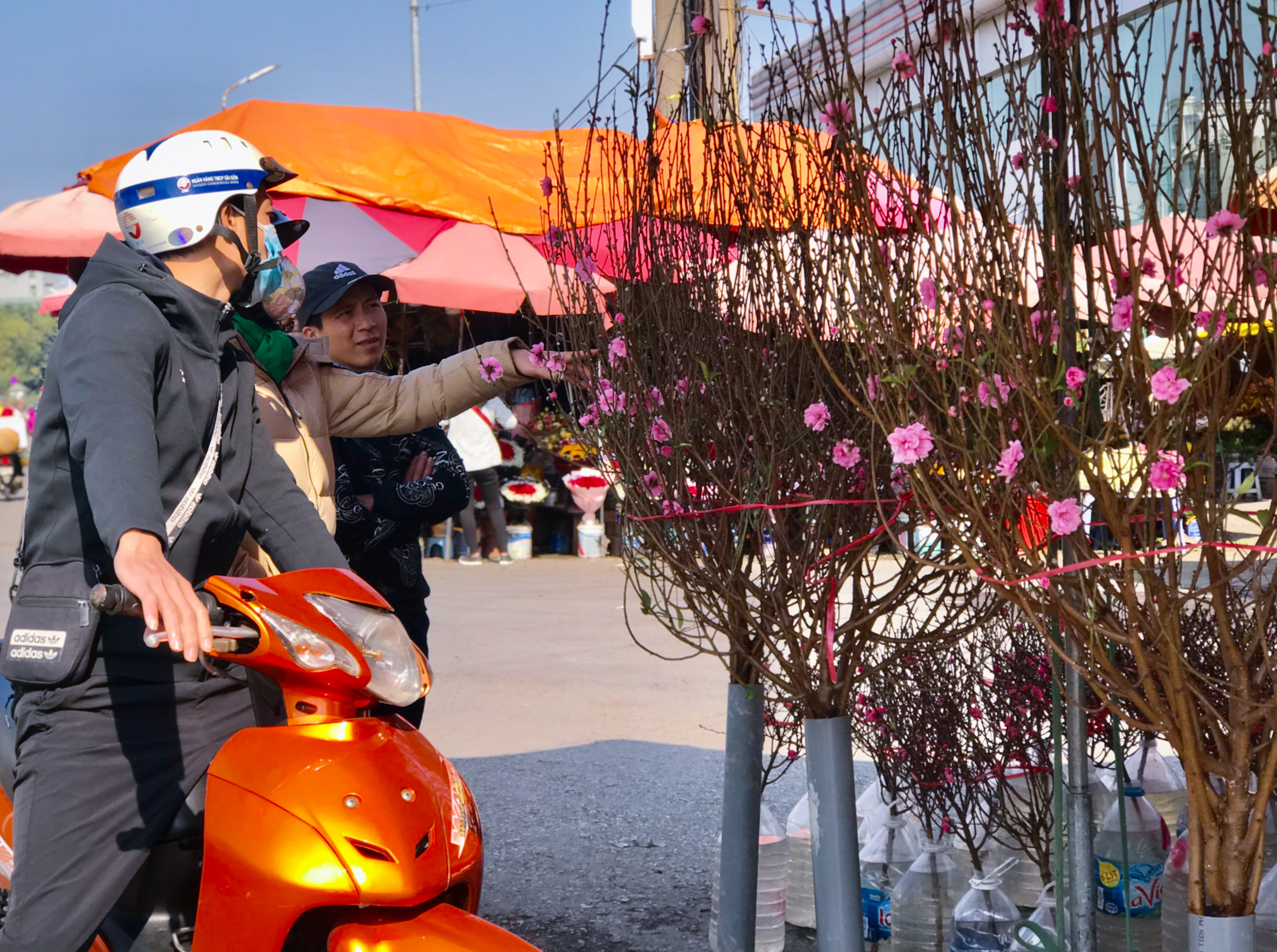 du bao thoi tiet tet duong lich lieu mien bac con ret hay khong dspl