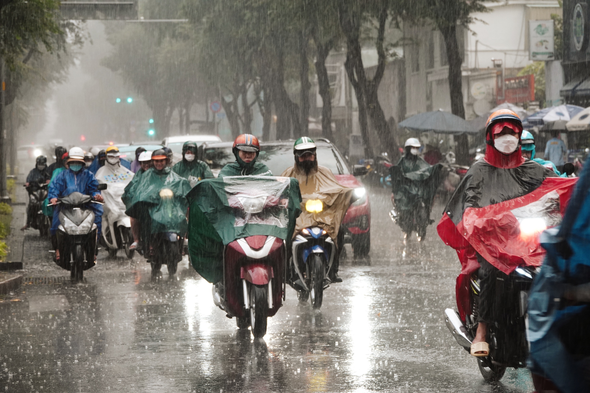 khoanh khac nguoi dan tp hcm doi mua cho xem ban phao hoa chao nam moi 2024 31 khoanh khac nguoi dan tp hcm doi mua cho xem ban phao hoa chao nam moi 2024 31