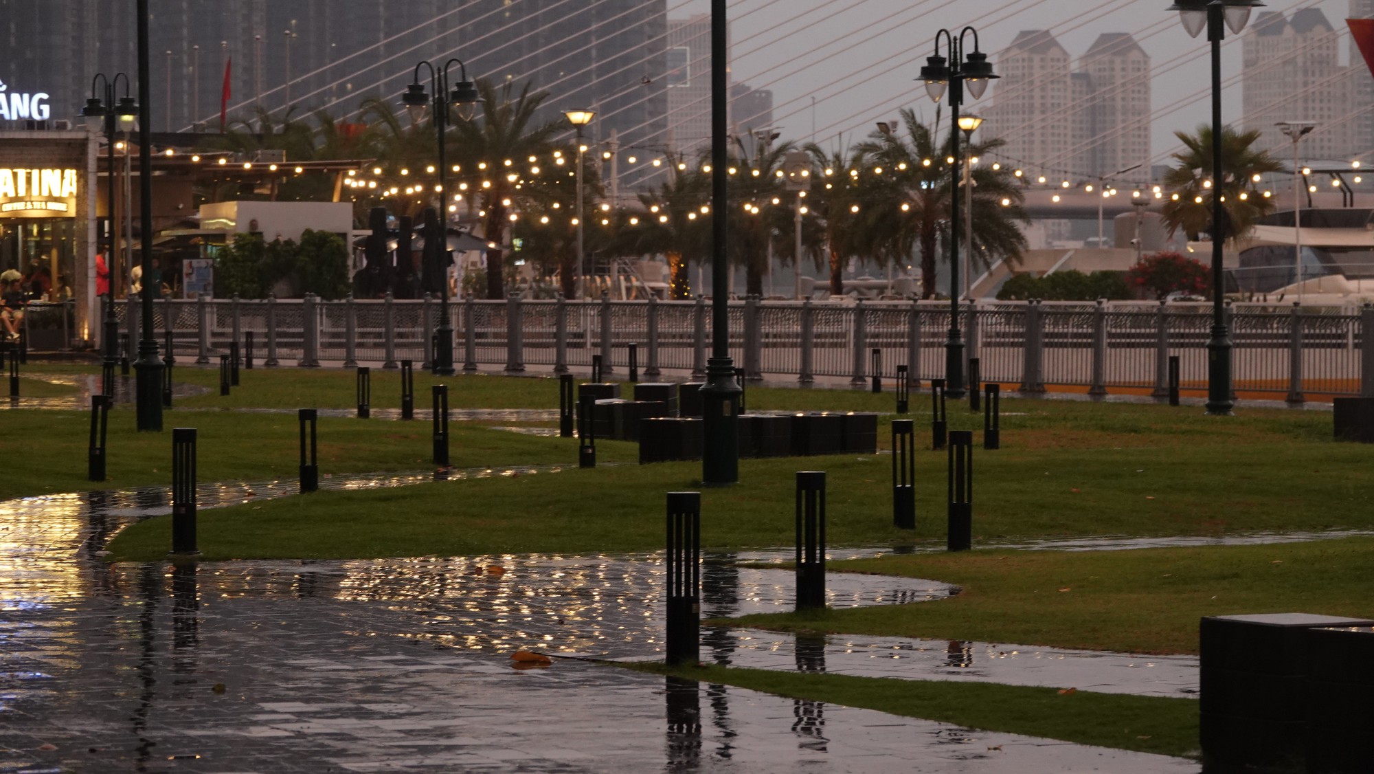 khoanh khac nguoi dan tp hcm doi mua cho xem ban phao hoa chao nam moi 2024 8 khoanh khac nguoi dan tp hcm doi mua cho xem ban phao hoa chao nam moi 2024 8