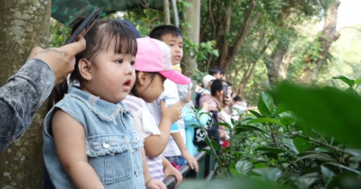 rat dong nguoi dan do ve thao cam vien vui choi dip tet duong lich3 rat dong nguoi dan do ve thao cam vien vui choi dip tet duong lich3