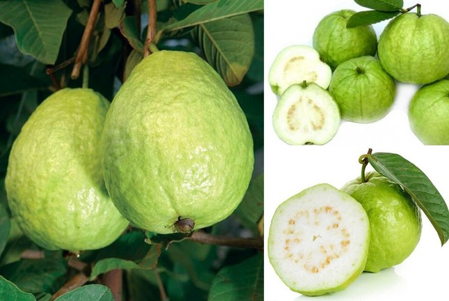 loai sieu thuc pham chua nhieu vitamin c vua giup dep da vua tot cho nguoi tieu duong