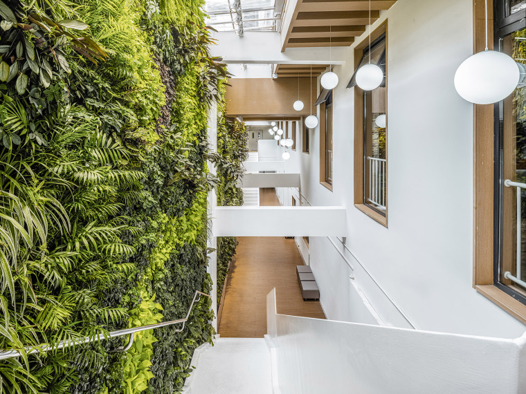 truong dai hoc hang dau trung quoc nghiem ngat den muc giao su bi bao ve duoi vi quen the 2