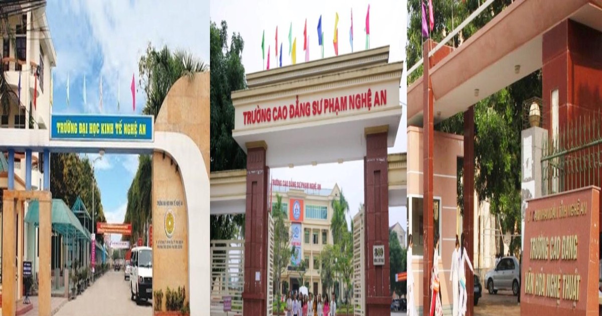 thanh lap truong dai hoc nghe an trong de an sap nhap truong dspl
