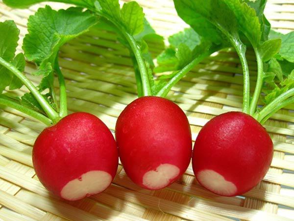cu cai duong nhieu tinh bot lieu co an toan cho nguoi mac tieu duong dspl cu cai duong nhieu tinh bot lieu co an toan cho nguoi mac tieu duong dspl