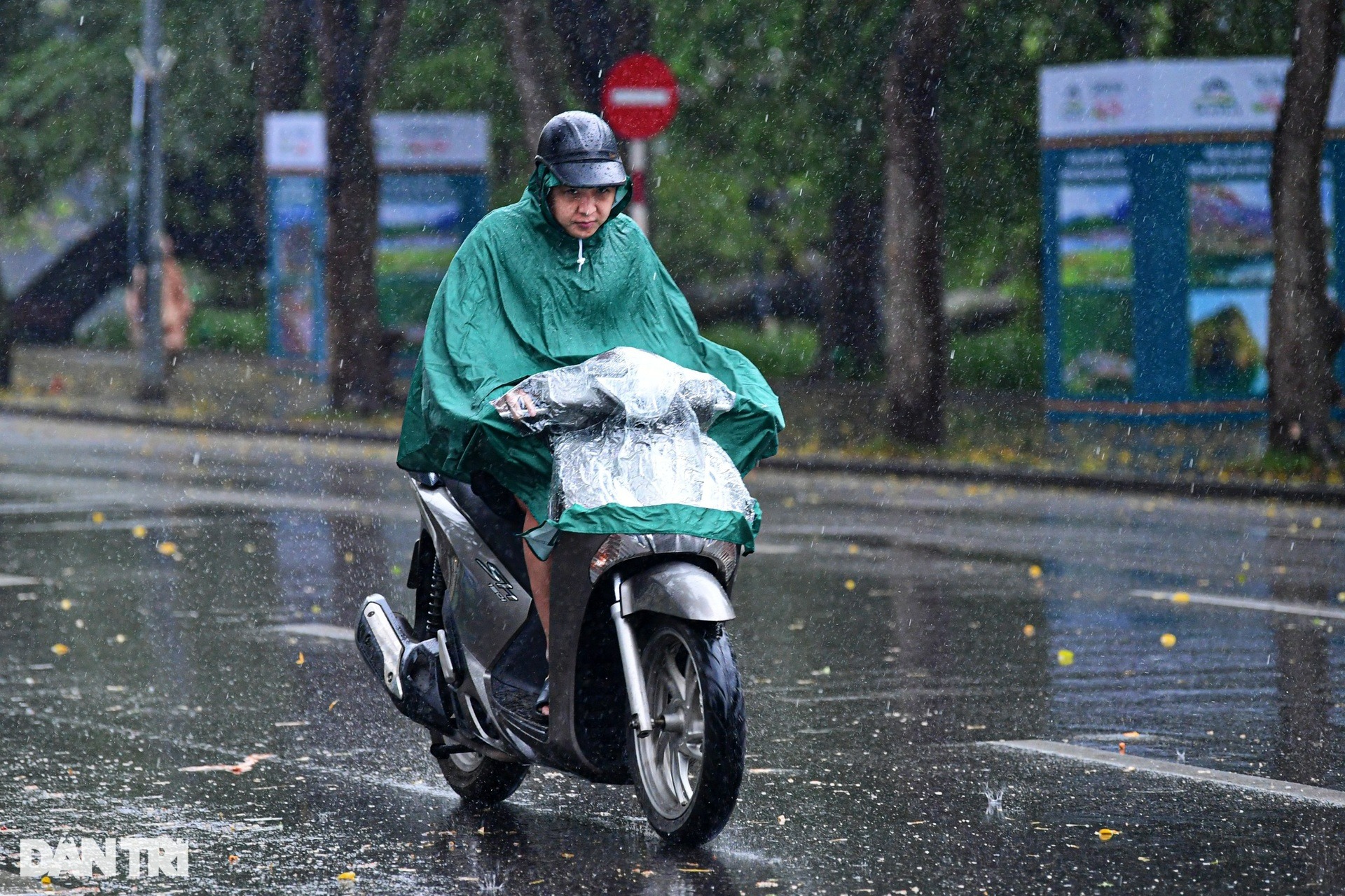 tin tuc du bao thoi tiet hom nay 13 1 2024 bac bo duy tri mua vai noi nam bo ngay nang