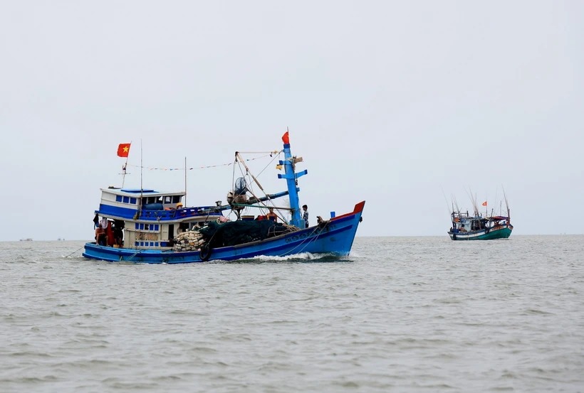 tin nong 24h hom nay ngay 23 1 2024 xac dinh nguyen nhan ca chet hang loat tai dam o binh dinh dspl tin nong 24h hom nay ngay 23 1 2024 xac dinh nguyen nhan ca chet hang loat tai dam o binh dinh dspl