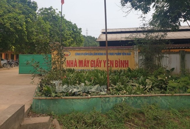 tin nong 24h hom nay ngay 27 1 2024 xu phat nha may giay o yen bai vi vi pham moi truong