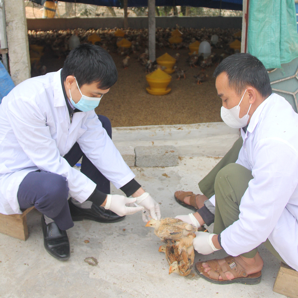 tin nong 24h hom nay ngay 5 2 2024 nha tu duong va nha dan chay rui ngay 26 tet o da lat1 tin nong 24h hom nay ngay 5 2 2024 nha tu duong va nha dan chay rui ngay 26 tet o da lat1