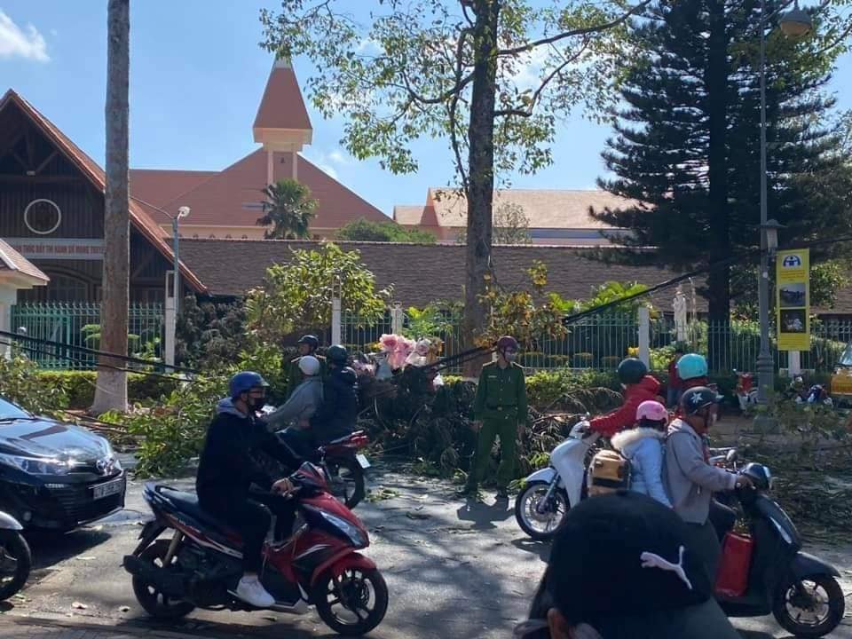 nguoi phu nu bi cay do de len nguoi o dak lak da tu vong nguoi phu nu bi cay do de len nguoi o dak lak da tu vong