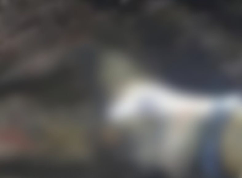 tin nong 24h hom nay ngay 9 3 2024 xac minh danh tinh nguoi dan ong chet chay tai vuon cao su