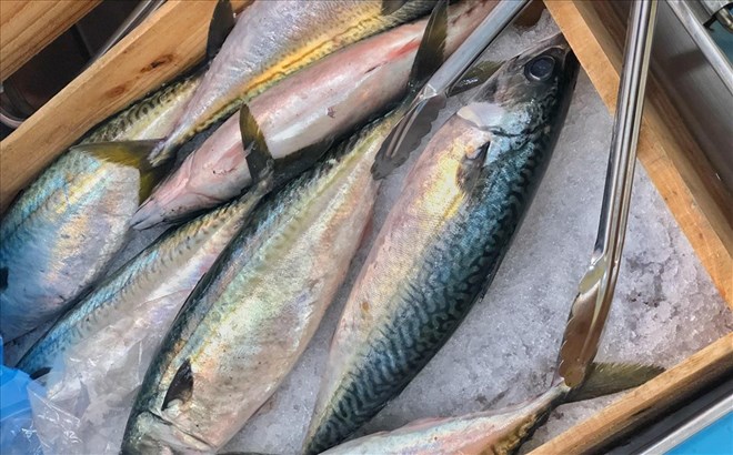 loai ca gia binh dan chua nhieu omega 3 hon ca hoi ban day tai cho viet khong phai ai cung biet dspl