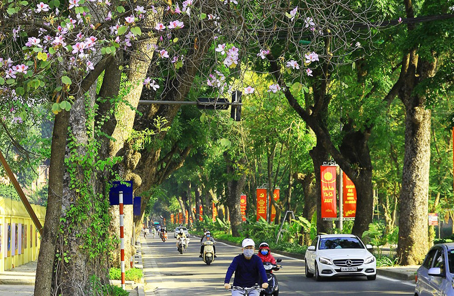 tin tuc du bao thoi tiet hom nay 24 3 2024 nen nhiet tang thoi tiet ha noi tiep tuc nang nong