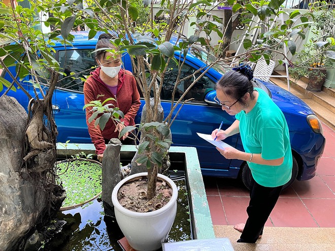 nhan dinh cua chuyen gia ve dien bien sot xuat huyet o ha noi