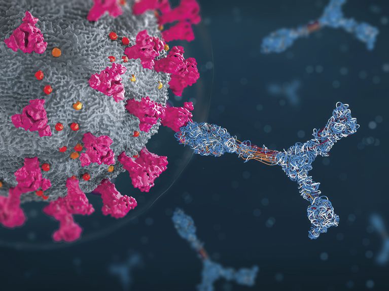 sieu khang the truoc virus nhiem covid roi tiem vaccine 1